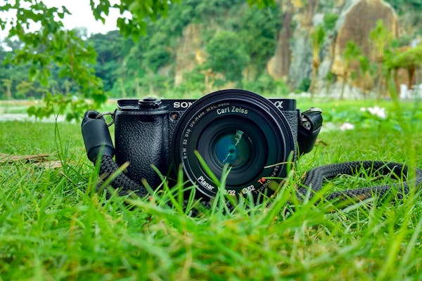 Best Starter DSLR Cameras